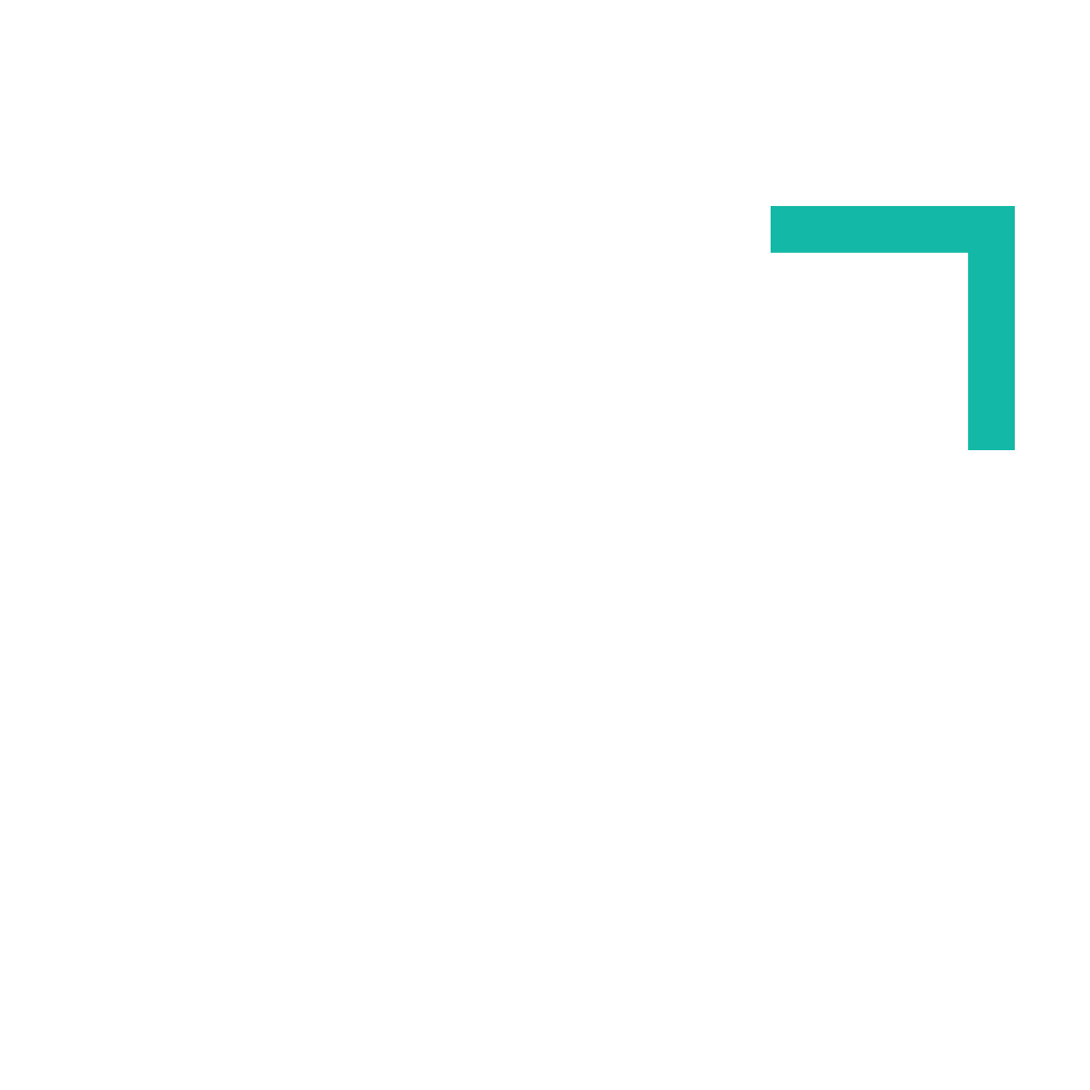 store-flow-logo